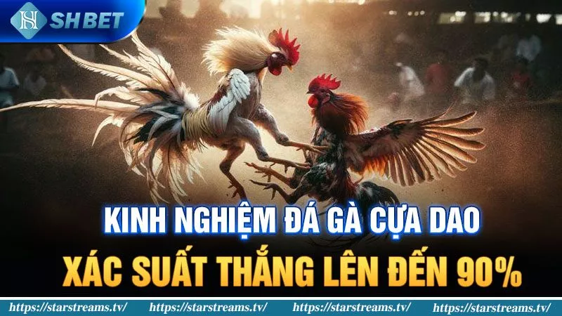 Câu lạc bộ V7bet Common Games - V7bet