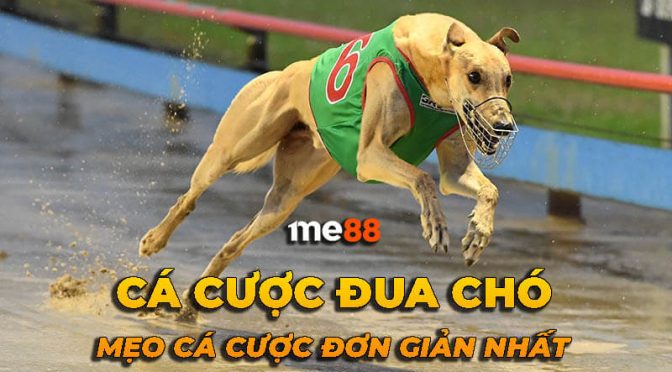 Xin lưu ý rằng điều khoản này chỉ áp dụng nếu bạn nhận được ưu đãi khuyến mãi 100000 điểm cấp độ 88Goals - 88Goals