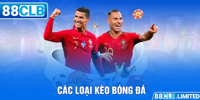 Bổ sung các tính năng Winwin và những khía cạnh tuyệt vời - Winwin