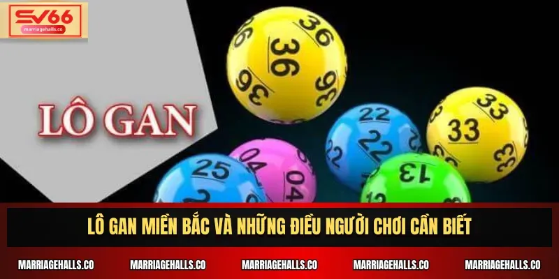 Tôi có thể tham gia các hoạt động quảng bá của 365Vn bằng cách nào? - 365Vn