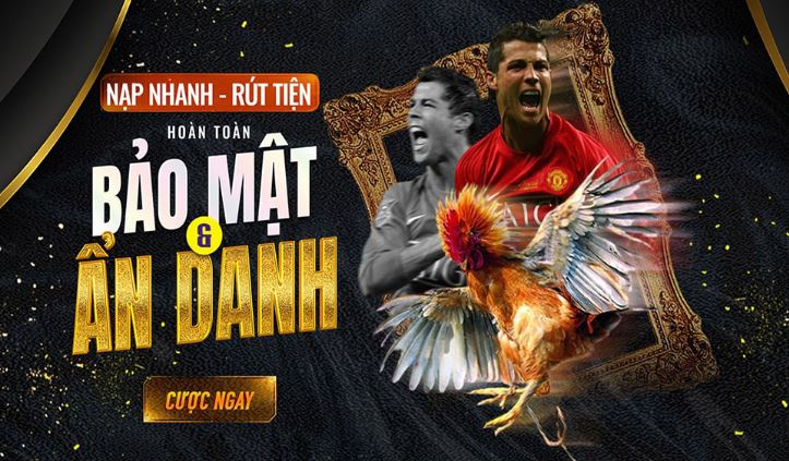Trò chơi chọi gà cấp độ 88Bet - 88Bet