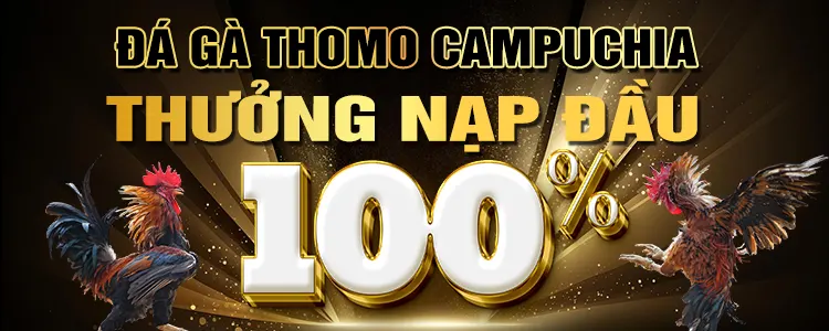 Zbet68 Brazil cung cấp những loại sự kiện thể thao nào? - Zbet68