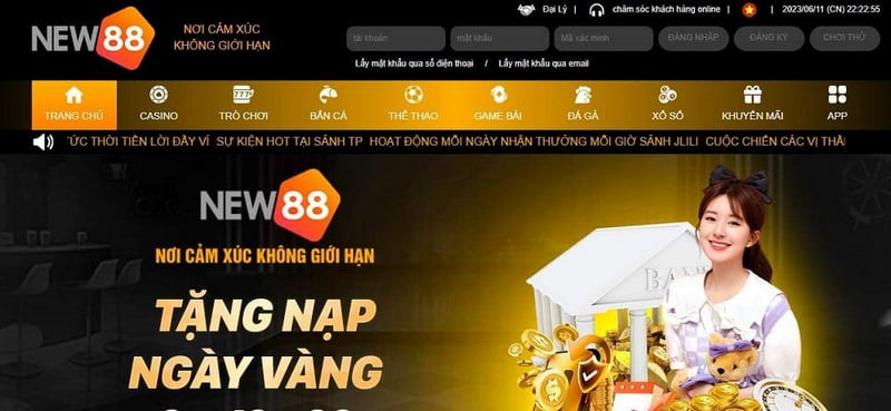 Các hoạt động quảng bá có giá trị cao cấp Betway - Betway