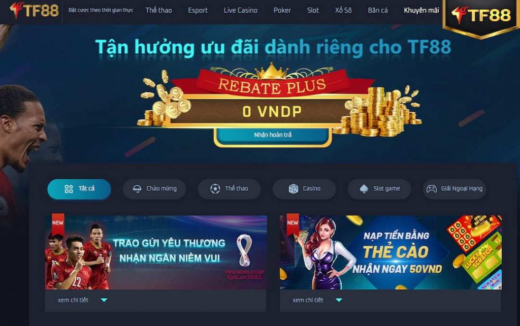 Vvvwin và Chính sách của Tổ chức - Vvvwin
