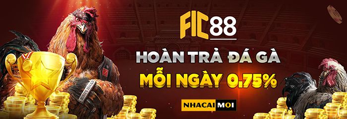 Trang web đặc biệt Kim88 Kim88 - Kim88